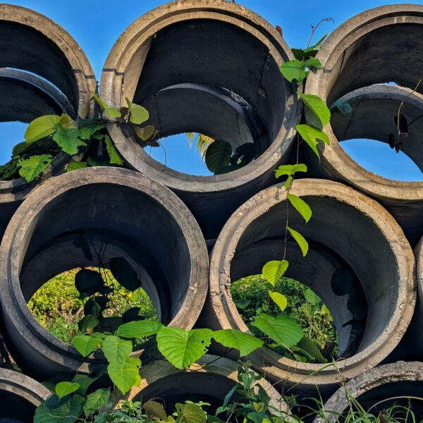 Small Draining Project   pexels mnrd 37526071